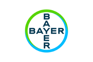 ERP Consulting