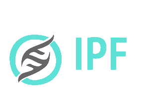 ERP Consulting